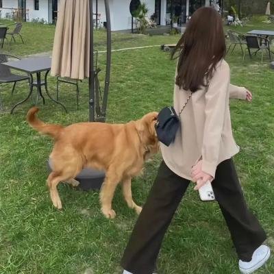 吾妻之话